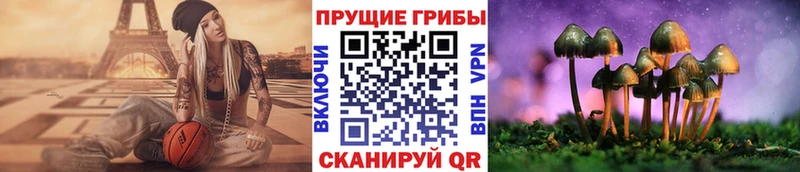 Галлюциногенные грибы Psilocybe Усть-Катав